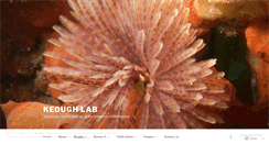 Desktop Screenshot of keolab.com